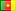 Skype Cameroon Flag