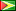 Skype Guyana Flag